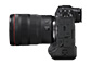 EOS R1 + RF24-70mm F2.8 L IS USM（3/3）
