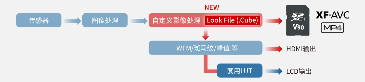色彩科學
