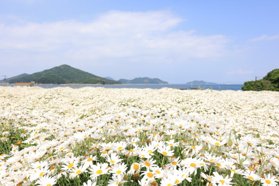 風光