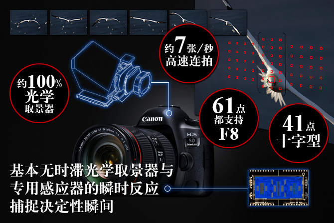 相同的自動對焦系統