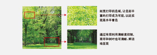 “高畫質彩色打印”：色彩更鮮明