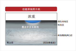 墨水顯色層讓佳能原裝墨水實現更濃密的黑色