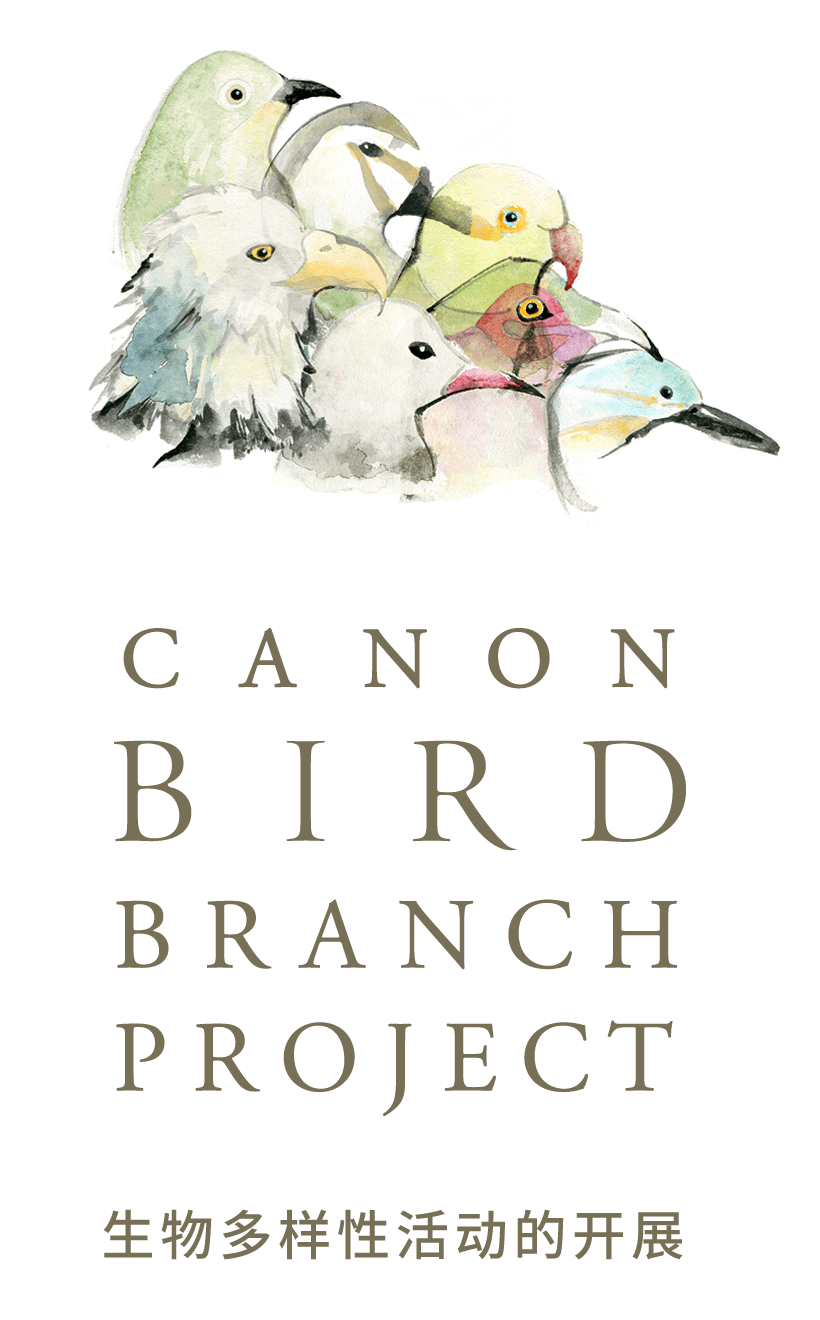 CANON BIRD BRANCH PROJECT 生物多樣性活動的開展