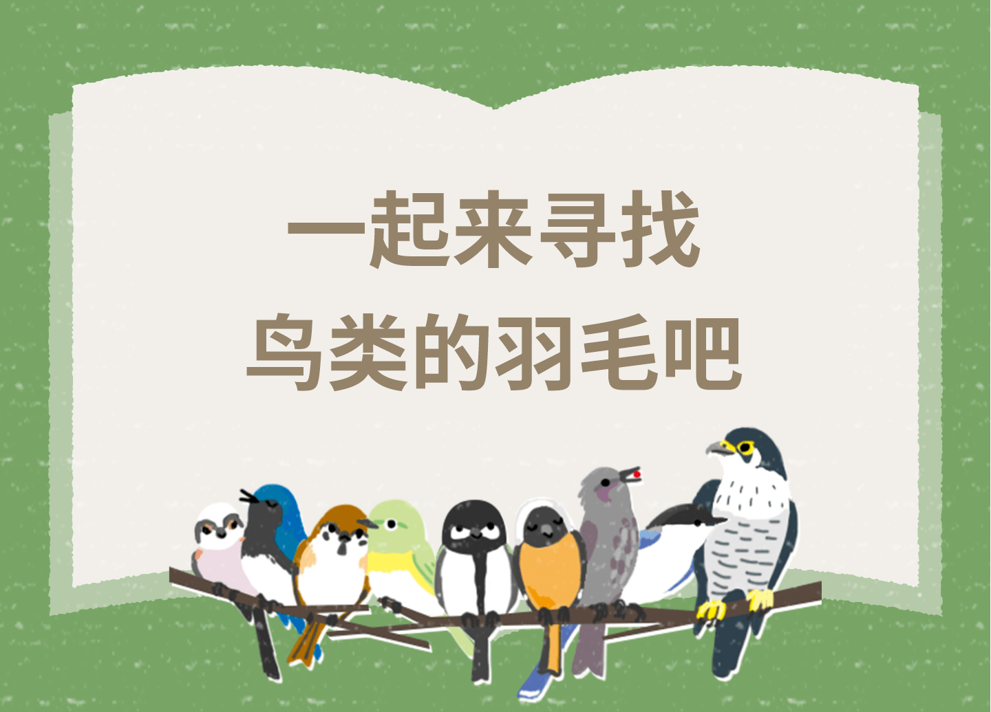 一起來尋找鳥類的羽毛吧