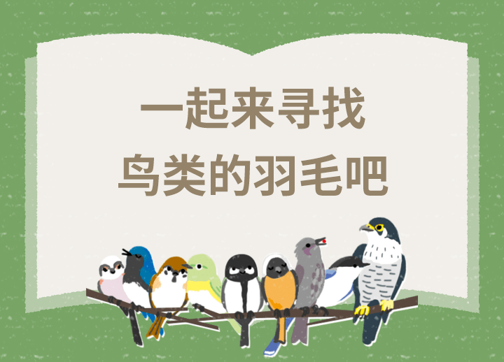 解開鳥類之謎