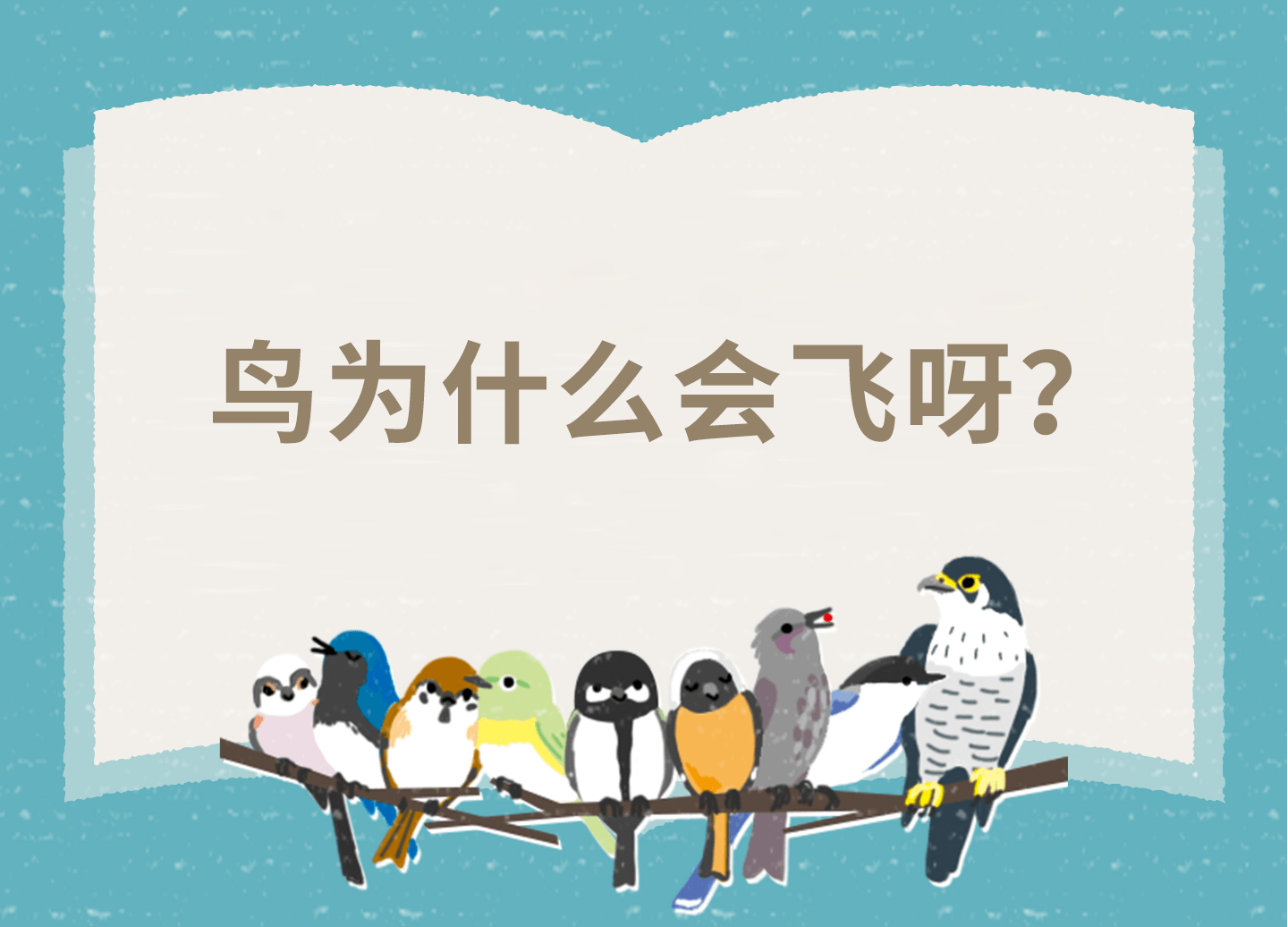 鳥為什么會飛呀？