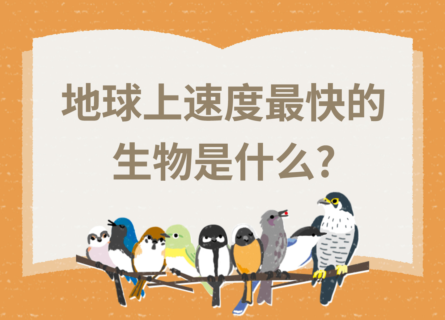 地球上速度最快的生物是什么？