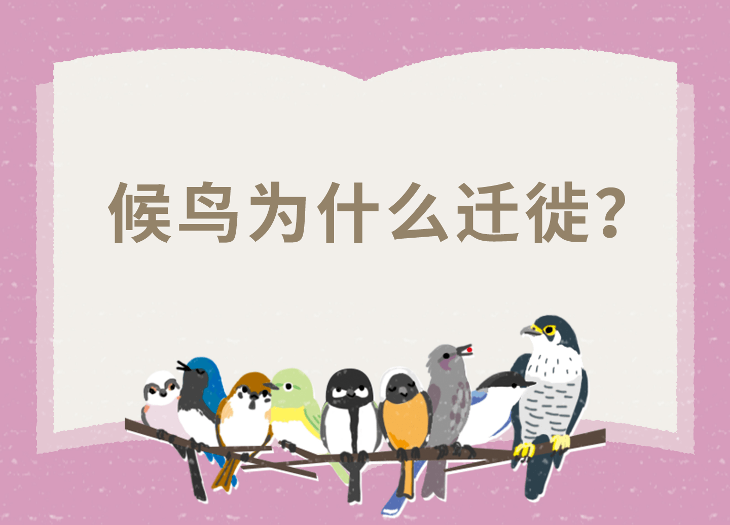候鳥為什么遷徙？