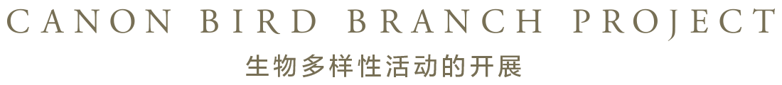 CANON BIRD BRANCH PROJECT 生物多樣性活動的開展