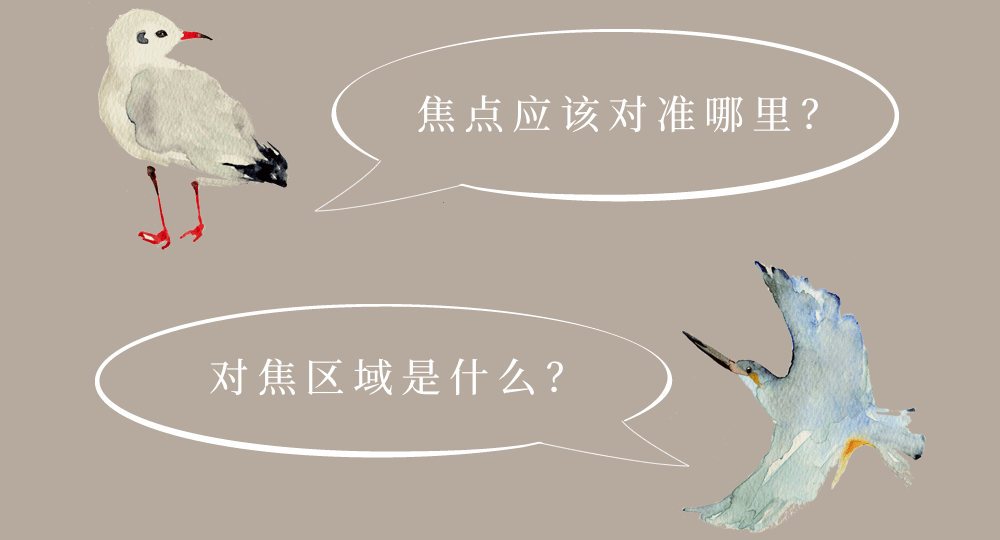 圖像