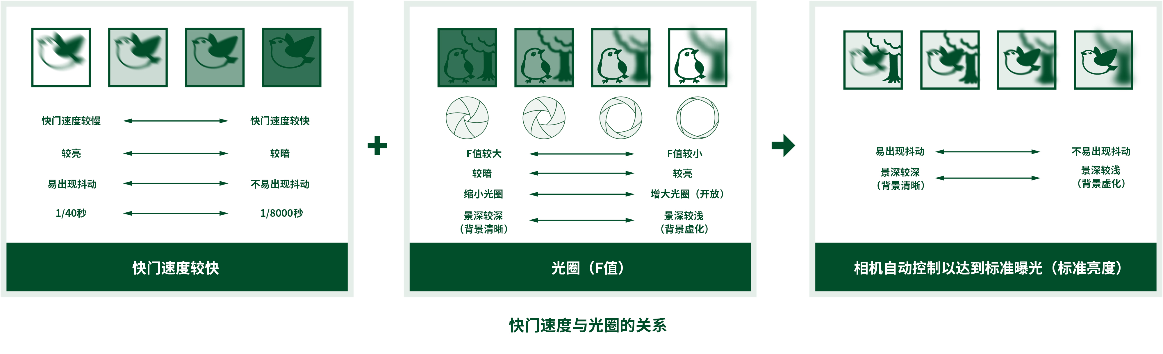 圖像