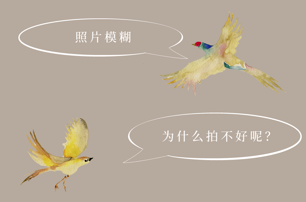 圖像