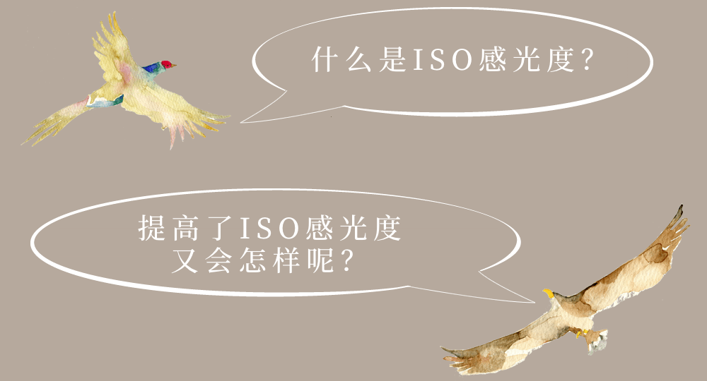圖像