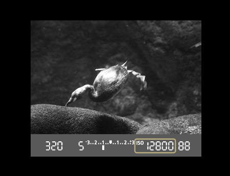 海外的?。▎T工拍攝）