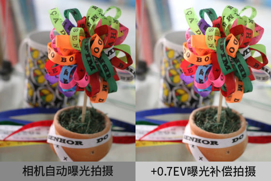 相機自動曝光有時候不能獲得理想亮度。這時候可以使用曝光補償。