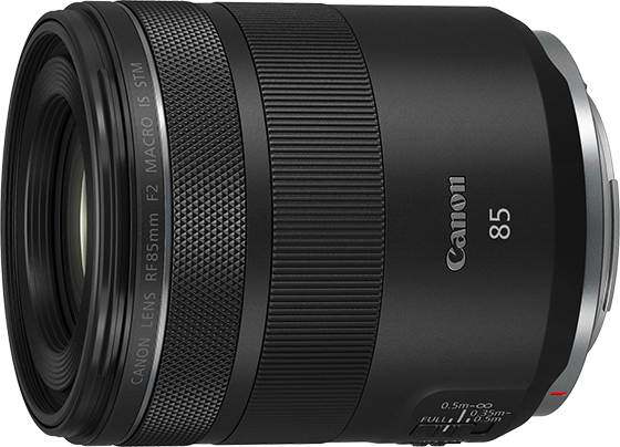 微距鏡頭RF85mm F2 MACRO IS STM。微距鏡頭可以將小被攝體拍滿畫面，呈現局部細節